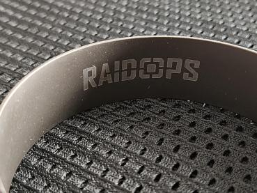 Preview: Raidops ARM.Risk IT